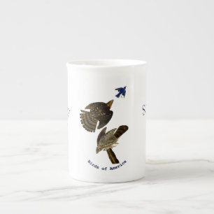Vintage John Audubon Stanley Hawk Benporslin Mugg