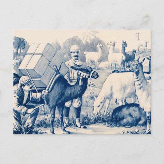 Vintage John Robinson Cirkus Affisch Vykort (Framsida)