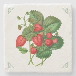 Vintage Jordgubbar Fruktillustration Stenunderlägg