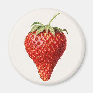 Vintage jordgubbar magnet