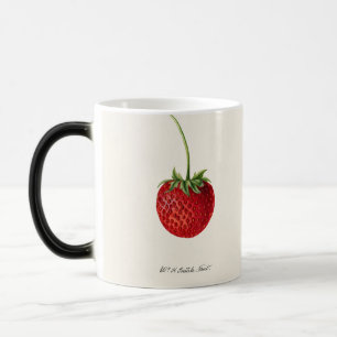 Vintage jordgubbsbär magisk mugg