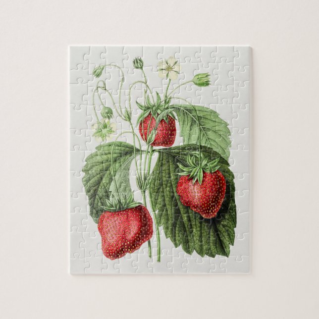 Vintage jordgubbsillustration  pussel (Vertikal)
