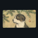 Vintage jul, Cute Puppy under Julgran Fraktsedel<br><div class="desc">Vintage illustration av God jul-helgdag:s utformning med en adabel kolliesvalp från gräns under sitta under Julgran. Den här söta päls baby står bredvid några musikinstrument,  en buggel eller trumpet och några trummor väntar bara på familjen på julförmiddagen! Den här cutien kommer att göra några barn mycket lycklig!</div>