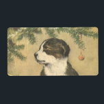 Vintage jul, Cute Puppy under Julgran Fraktsedel<br><div class="desc">Vintage illustration av God jul-helgdag:s utformning med en adabel kolliesvalp från gräns under sitta under Julgran. Den här söta päls baby står bredvid några musikinstrument,  en buggel eller trumpet och några trummor väntar bara på familjen på julförmiddagen! Den här cutien kommer att göra några barn mycket lycklig!</div>