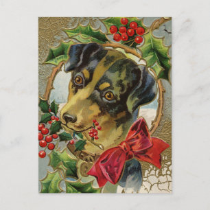 Vintage jul, Dachshund Puppy Hund med Holly Helg Vykort
