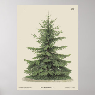 Vintage jul Gräs Träd Vintage Poster