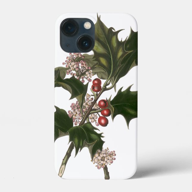 Vintage jul, Grönt Holly Plant med Berries (Baksida)