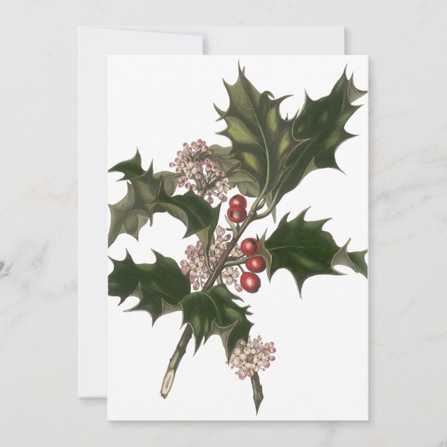 Vintage jul, Grönt Holly Plant med Berries Inbjudningar (Framsida)