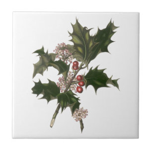 Vintage jul, Grönt Holly Plant med Berries Kakelplatta