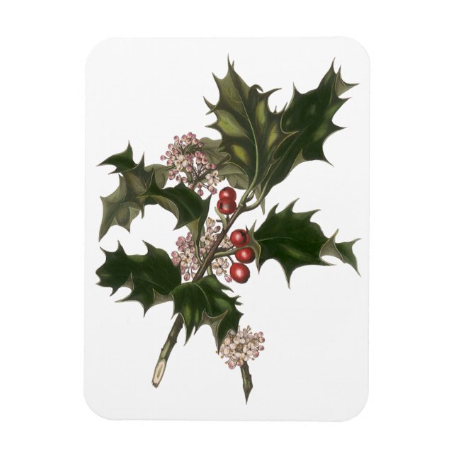 Vintage jul, Grönt Holly Plant med Berries Magnet (Vertikal)