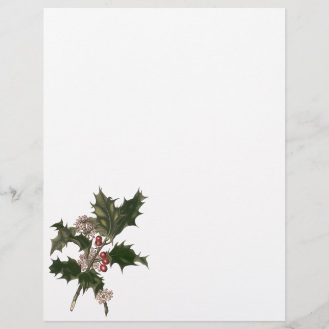 Vintage jul, Grönt Holly Plant med Berries Reklamblad (Framsidan)