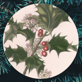 Vintage jul, Holly Plant med Red Berries Runt Klistermärke