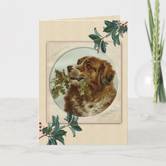 Vintage jul Irish Setter Hund Helgkort (Framsida)