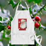 Vintage jul, Jolly Winking Jultomten Förkläde<br><div class="desc">Vintage illustrerar julens helgdag med lycklig,  jolly Jultomten som bär hatt och vinkling som om han hade en hemlighet. Ho,  ho,  ho,  God jul!</div>