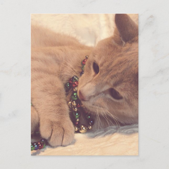 Vintage jul Kattunge Helg Vykort (Framsida)