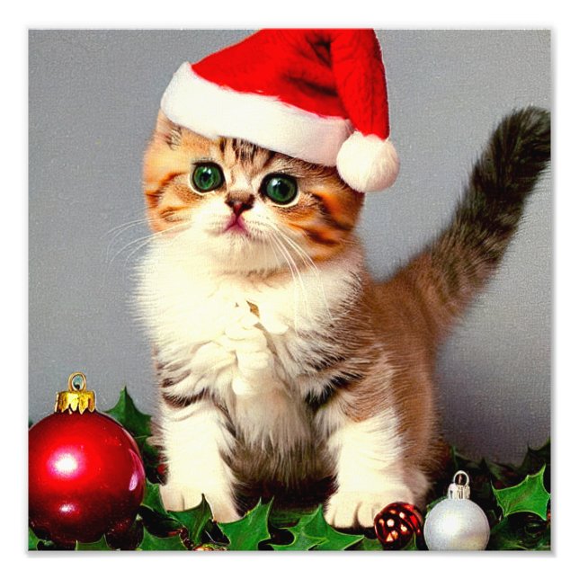 Vintage jul Kitten i Santa Hat Fototryck (Framsidan)