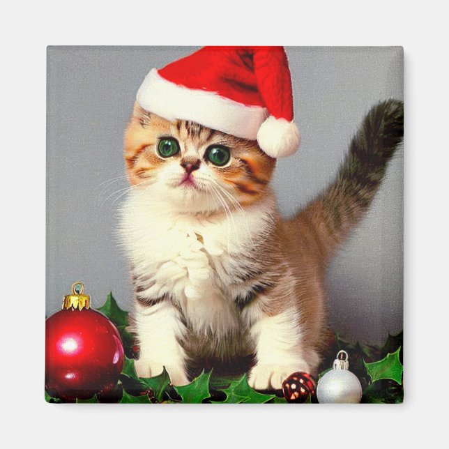 Vintage jul Kitten i Santa Hat Magnet (Framsidan)