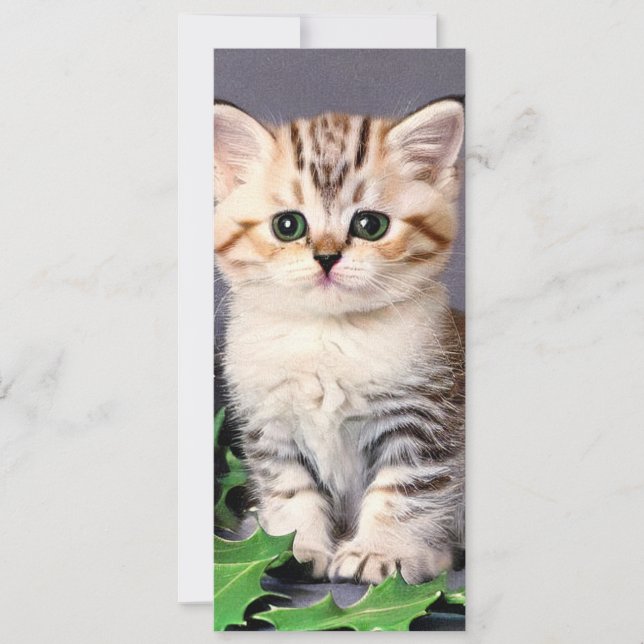 Vintage jul Kitten och Holly Card (Framsida)