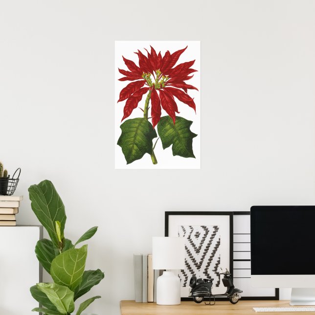 Vintage jul, Red Poinsettia Winter Plant Poster (Hemmakontoret)