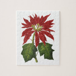 Vintage jul, Red Poinsettia Winter Plant Pussel