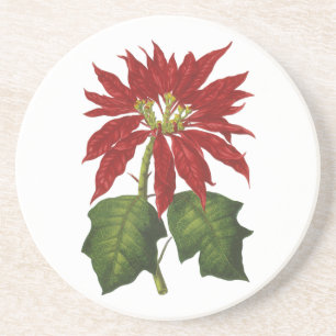 Vintage jul, röd poinsettia vinterväxt underlägg
