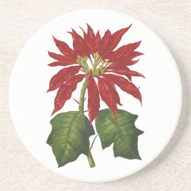Vintage jul, röd poinsettia vinterväxt underlägg (Framsidan)
