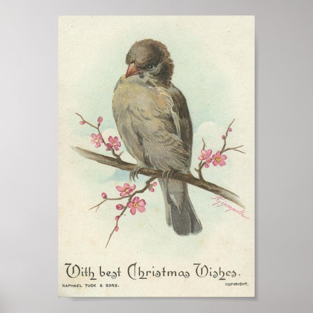 Vintage jul Sparrow Poster (Framsidan)