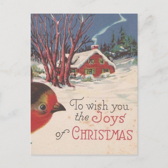 Vintage jul Winter Bird Helg Vykort (Framsida)