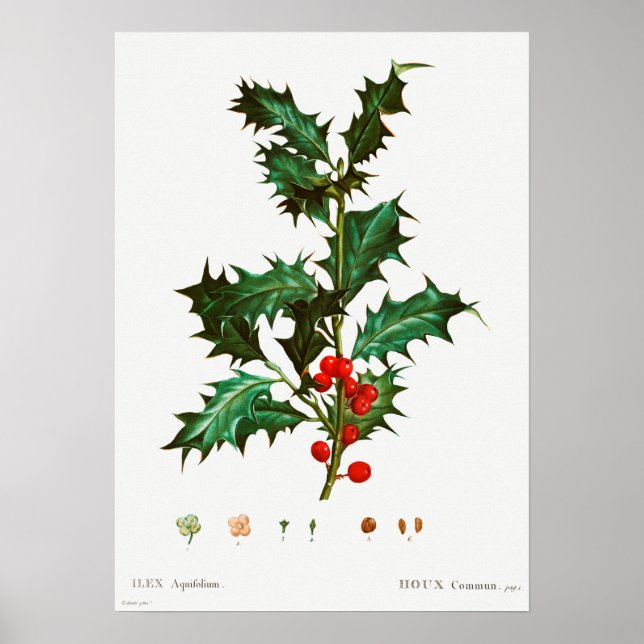 Vintage jultomte poster (Framsidan)
