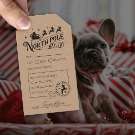 Vintage Jultomten North Pole Speciell Delivery Stämpel