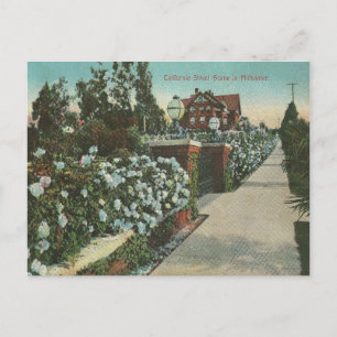 Vintage Kalifornien Vinter Vykort