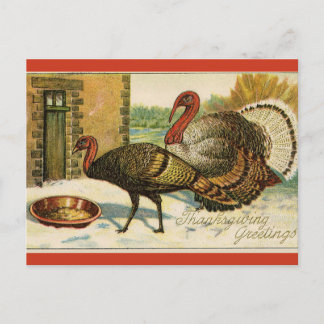 Vintage Kalkon på Thanksgiving måltid Vykort