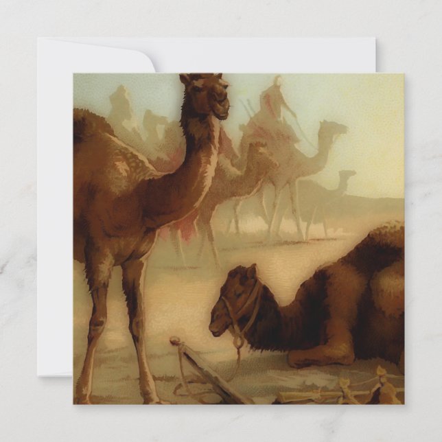 Vintage kameler i öknen (Framsida)