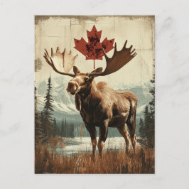 Vintage Kanada Elch Mit Kanadischem Ahornblatt Vykort
