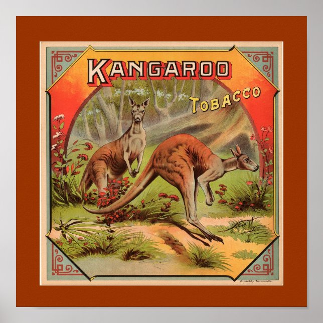 Vintage Kangaroo Advertisement Poster (Framsidan)