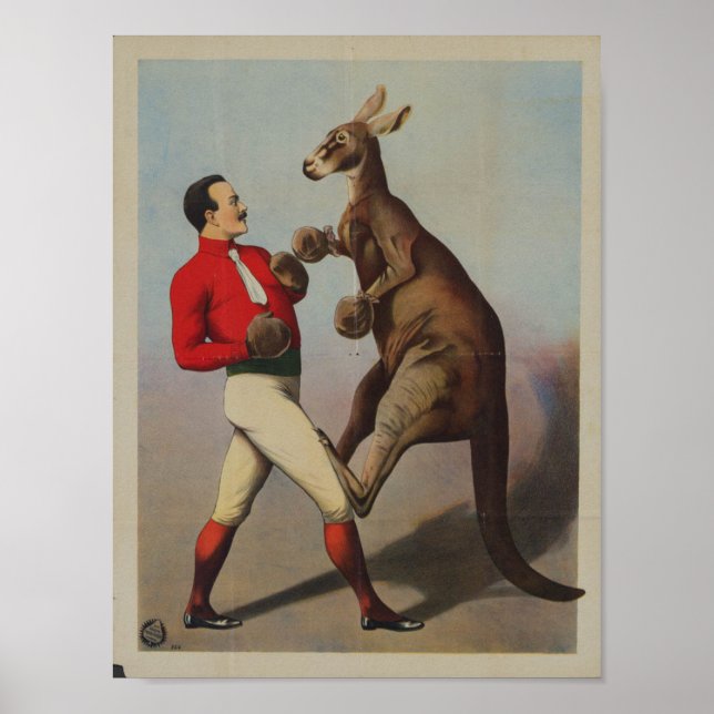 Vintage Kangaroo Boxing Sideshow Poster (Framsidan)