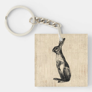 Vintage Kanin Illustration Old Fashioned Bunny