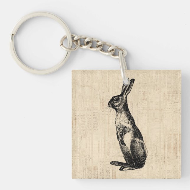 Vintage Kanin Illustration Old Fashioned Bunny (Framsidan)