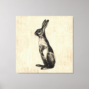 Vintage Kanin Illustration Old Fashioned Bunny Canvastryck
