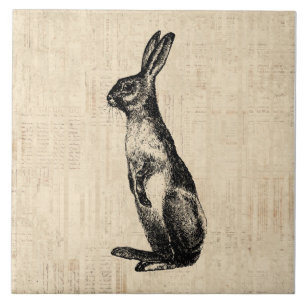 Vintage Kanin Illustration Old Fashioned Bunny Kakelplatta