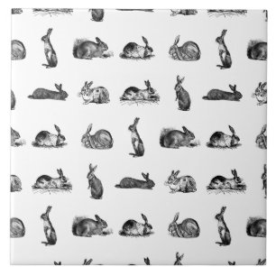Vintage Kaniner Classic Bunnies ANPASSNINGSBAR BG  Kakelplatta