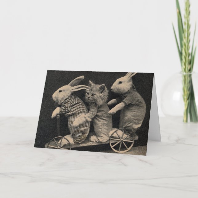 Vintage - kaniner och kattunge, kort (Framsida)