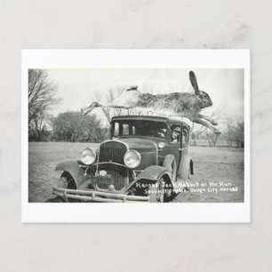 Vintage Kansas Jackkanit Oddity Vykort