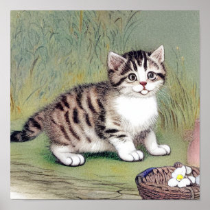 Vintage - kantad Kitten illustration Poster