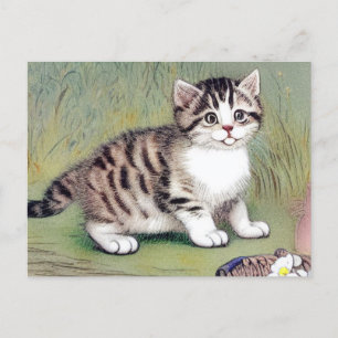 Vintage - kantad Kitten illustration Vykort