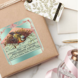 Vintage kapsetikett för fåglar fyrkantigt klistermärke