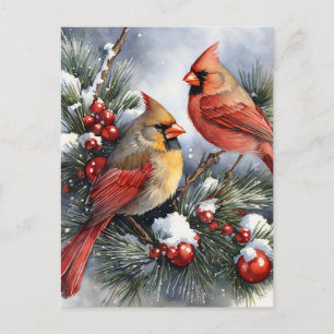 Vintage Kardinal Birds Julfamiljfoto Vykort