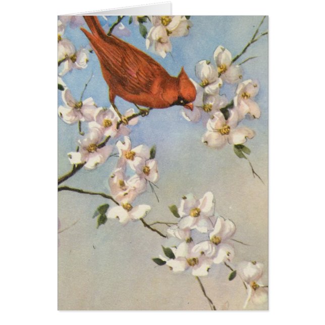 Vintage Kardinal Hälsningskort (Framsidan)