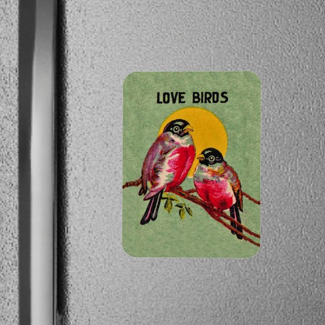 Vintage Kärlek Fåglar Sol Magnet (Two red love birds sitting together on a branch in front of sun on green frig magnet.)