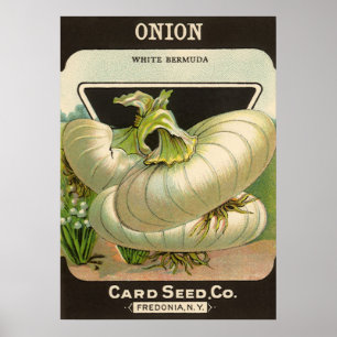 Vintage kärnar ur Bermuda för vit för Poster